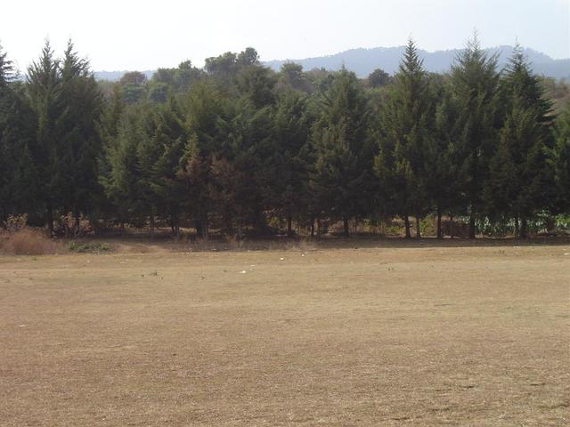VIEW TO NORTH