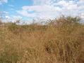 #3: view to the east