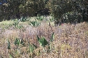 #2: North View