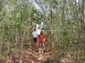#2: at site within 10m