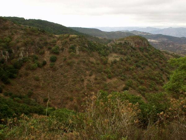 The confluence is somewhere in this hillside