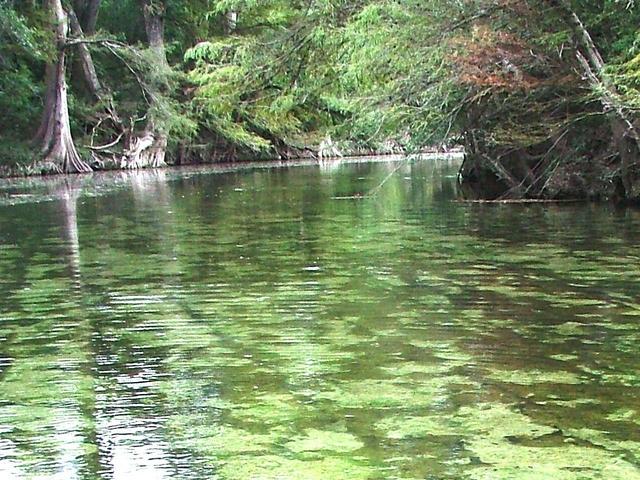 Río Sabino o Sabinas a 2 km. aporox. al sur de la confluencia