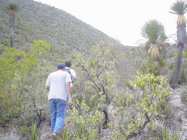 Walking in the mountains to the confluence