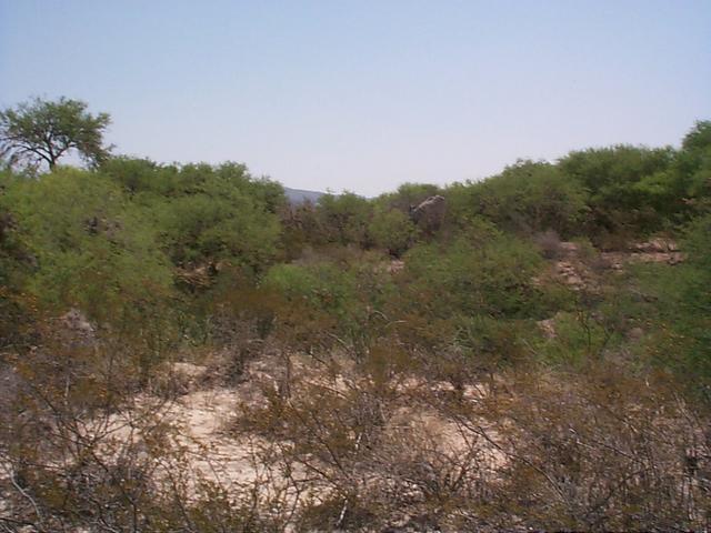 Looking in the direction of the confluence