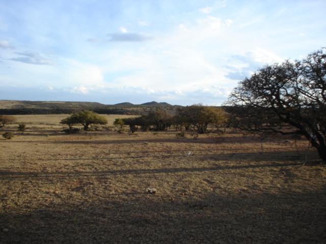 Vista Genetal de la confluencia N 23 W 103