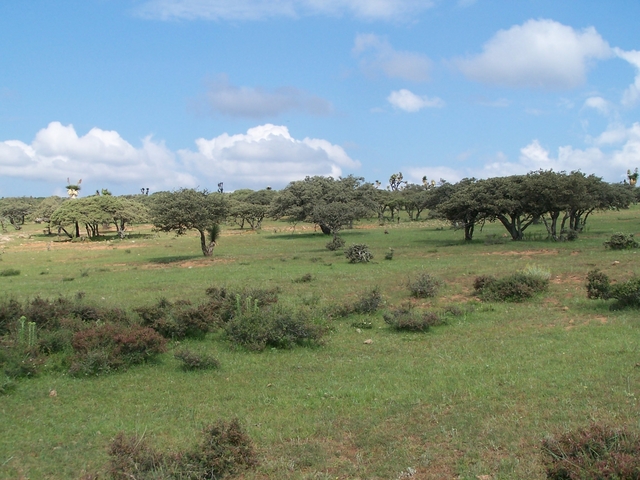 Vista del área