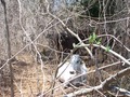#2: The place