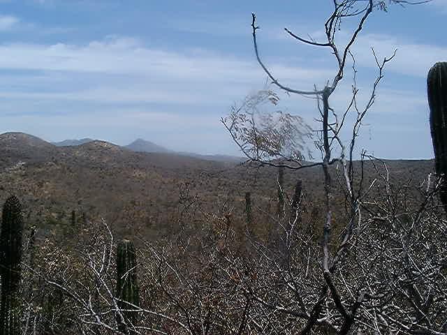 As we got closer to the confluence we saw a mountian straight in front of us. We were praying that it was not at the top, luckily it was only about a quarter of the way up.