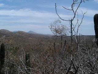 #1: As we got closer to the confluence we saw a mountian straight in front of us. We were praying that it was not at the top, luckily it was only about a quarter of the way up.