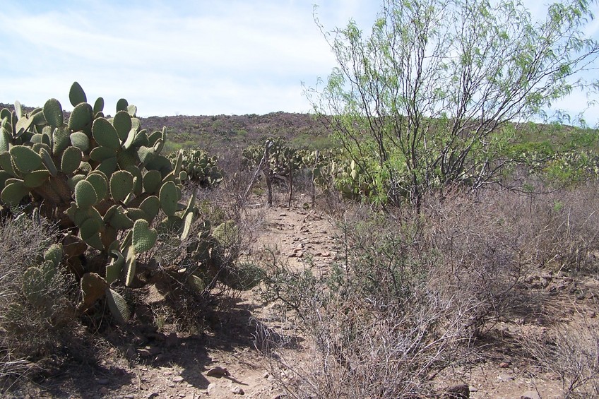 Vista del Area. General view