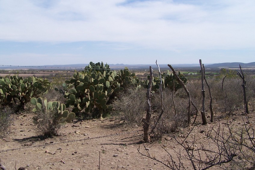 Vista al Sur. South view