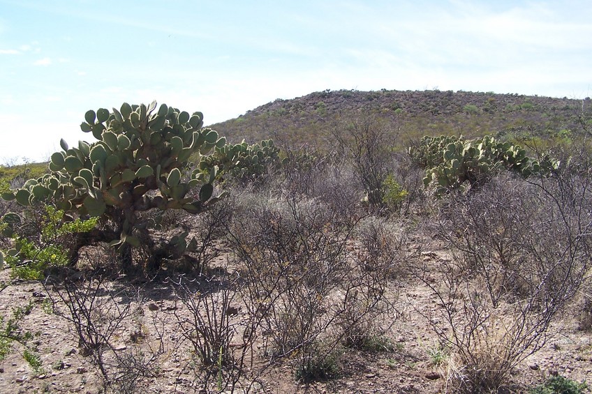 Vista al Oeste. West view