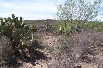 #1: Vista del Area. General view