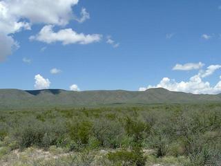 #1: At confluence looking North