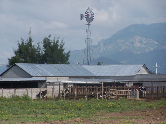 Rancho con papalote