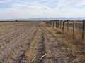 #2: South view