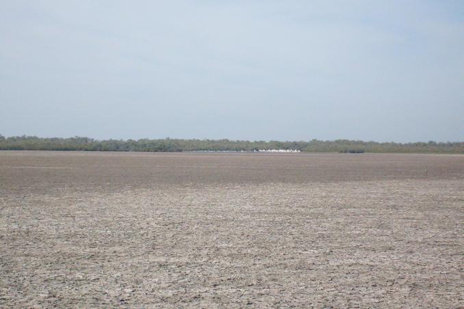 Panoramica de la confluencia