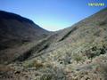 #4: west