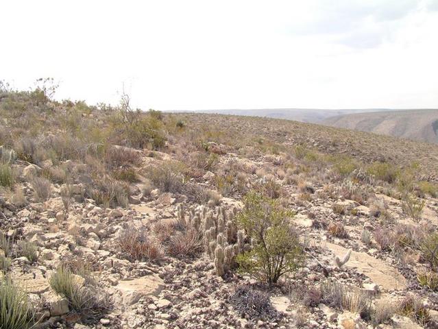 Vista hacia el Oeste