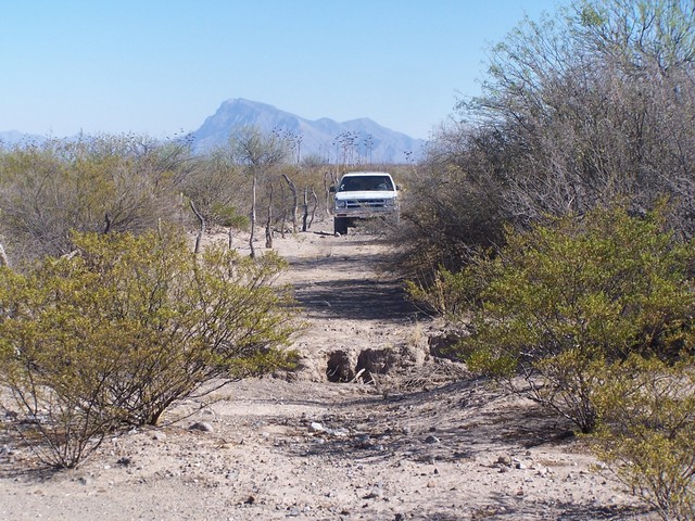 Dry Stream cuts the road