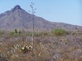 #2: North View