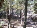 #3: South View