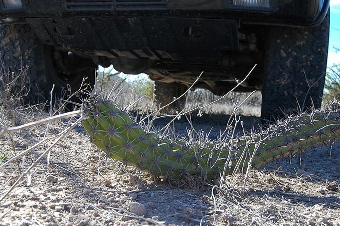 the old "road" was not very tire-friendly