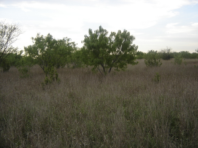 North View, close to the U.S. Border and far from the Gulf of Mexico and yet salt water hinders further human settlements