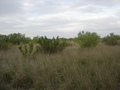 #3: East View, the easiest way to reach this confluence following the parcelas on the banks of río Salado, which I would much rather remember as "Río Afortunado"