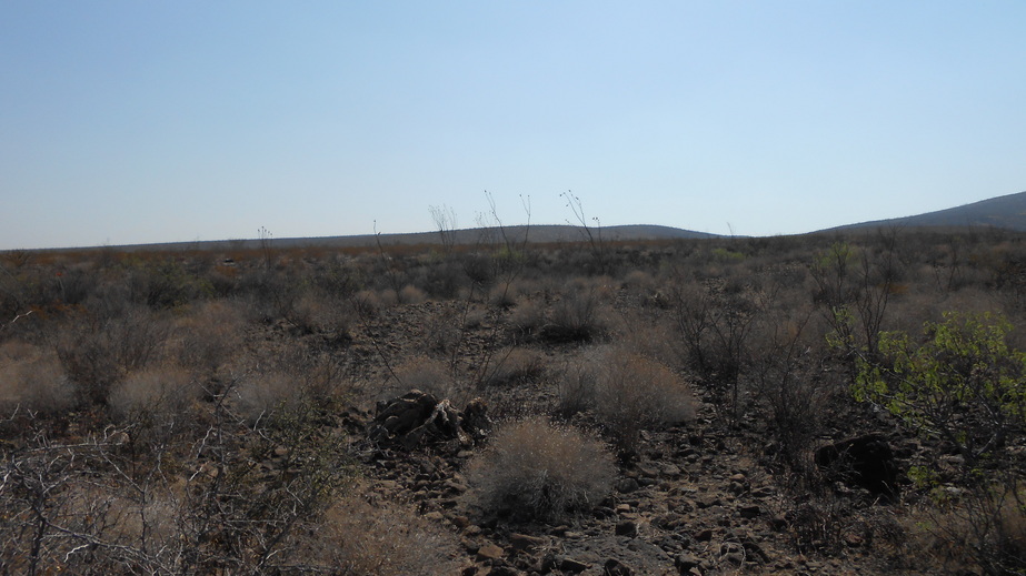 Area de la Confluencia. Confluence area