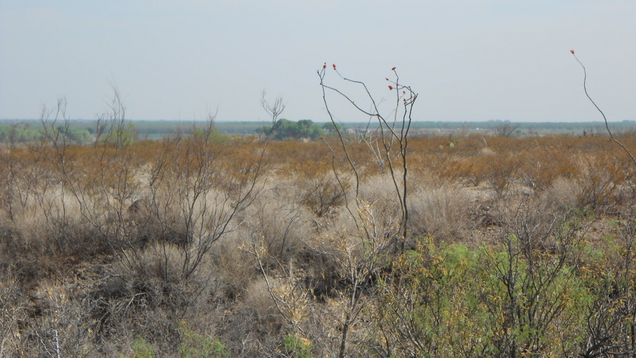 Vista Norte. North view