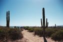 #2: End of the road to Playa Santines