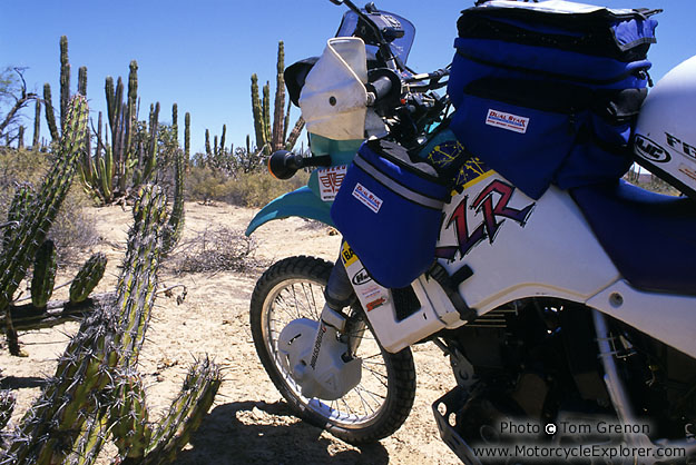 Cactus - Tire Hazards!!