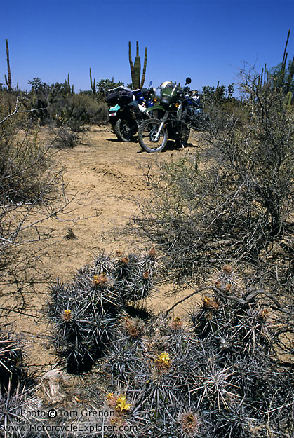 Motorcycles at confluence point + Tire Hazards