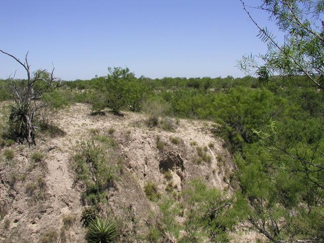 A view of the convergence point from the other side of the arroyo.  The point is on the edge of the dropoff, between the darkly colored area of the arroyo wall and the bushes on top.