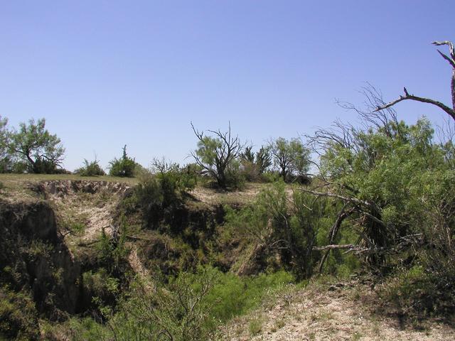 The view South from the point.