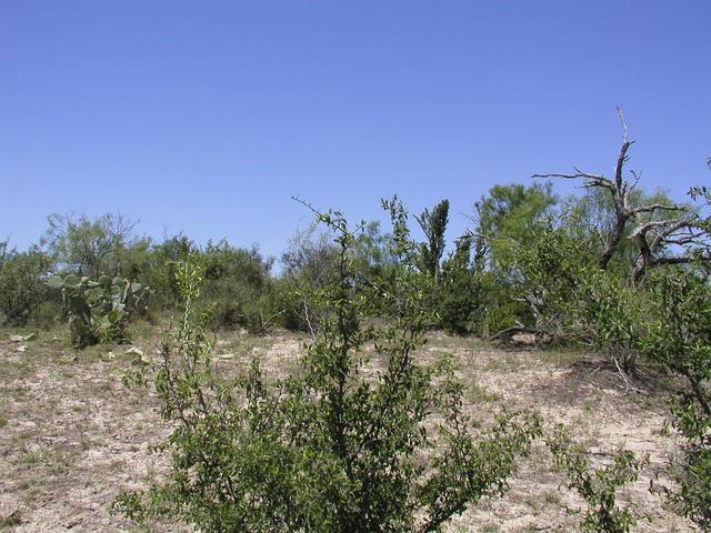 The view West from the point