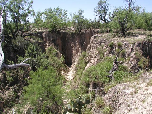 A view into the arroyo to the right of the convergence point