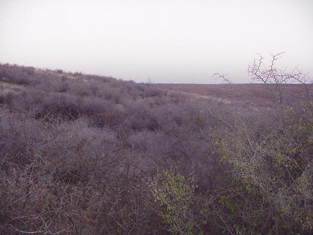 Vista hacia el NORTE