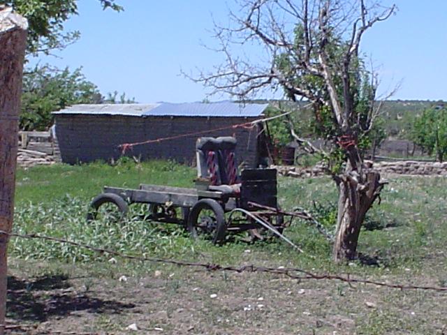 In the farm