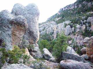 #1: View about 25 meters off the point