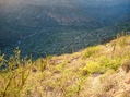 #5: View looking West from the confluence