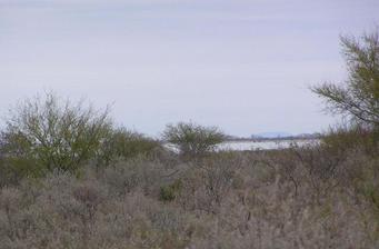 #1: Vista al NE hacia el lago.