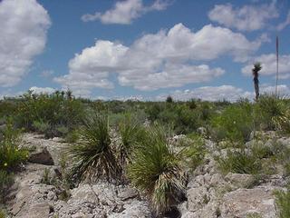 #1: Vista hacia el NORTE