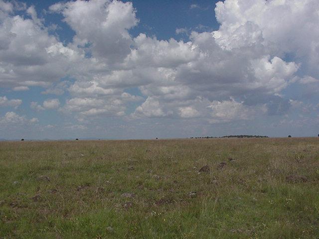 Vista hacia el NORTE