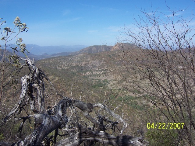 West view from the confluence point