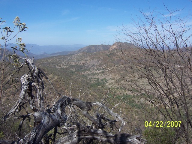 West view from the confluence point