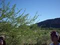 #5: From the confluence looking S towards "Cerro Colorado" and the powerline that appears in photo 8