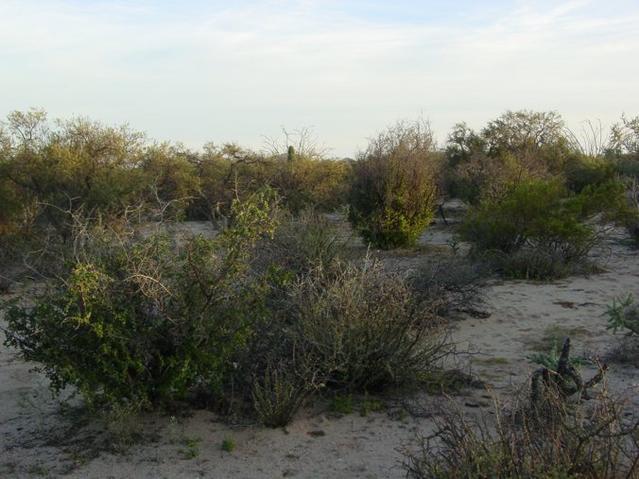 looking South of the confluence