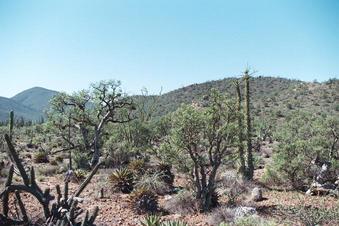 #1: The spot; confluence marked by baseball cap (front-center)